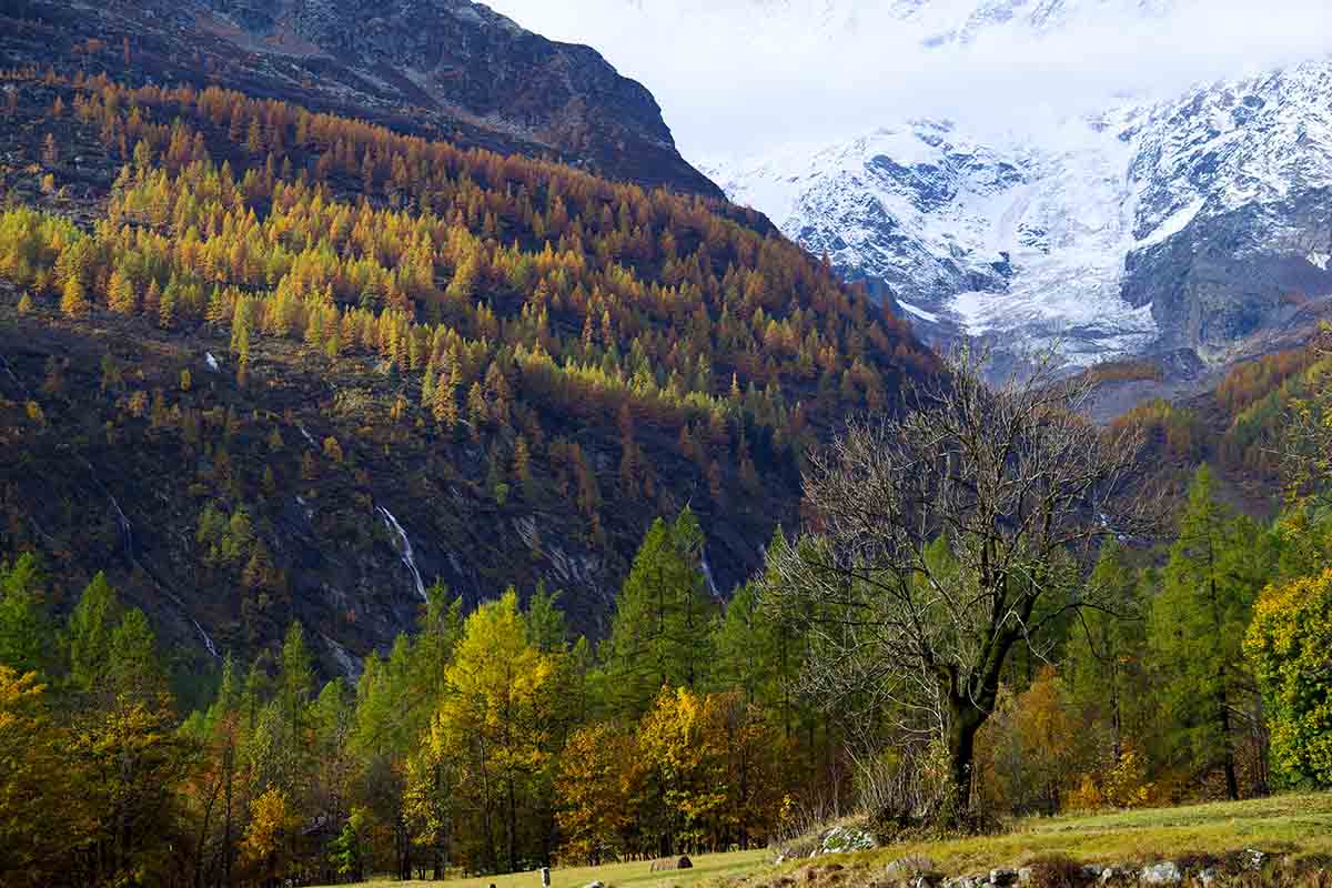 Lo sviluppo delle aree interne con il progetto “Paesaggio dell’Alpe” del FAI