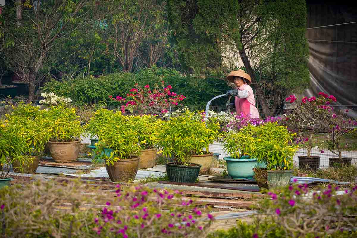 Gli eventi di giardinaggio 2020