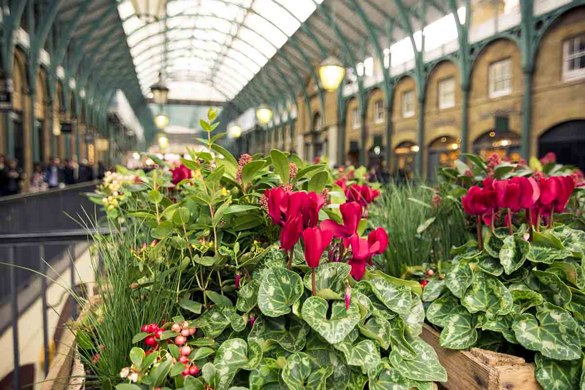 Gli eventi di giardinaggio 2020