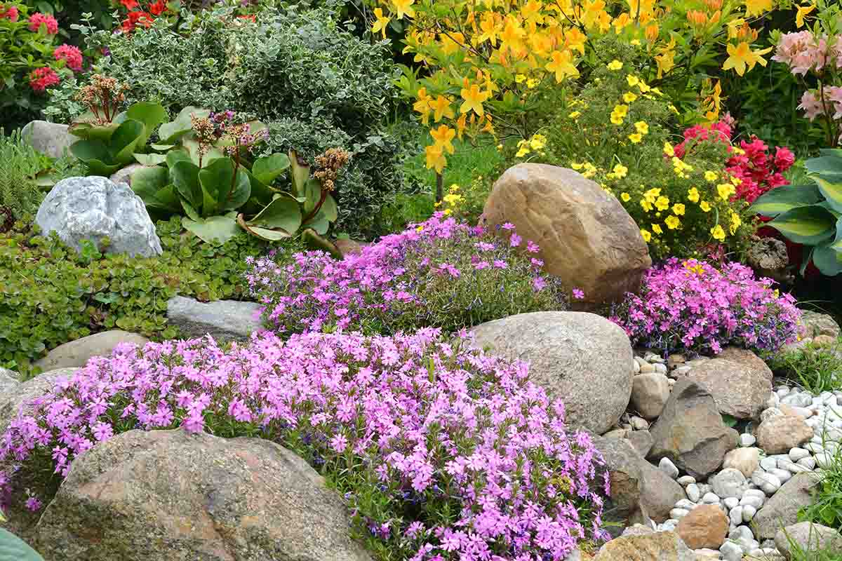 giardino roccioso