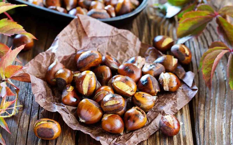 Raccolta delle castagne in Trentino-Alto Adige: dove andare?