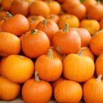 Come coltivare la zucca in casa