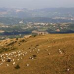 Il borgo di Frosolone: natura e storia tra le rocce della Morgia Quadra|Il borgo di Frosolone: natura e storia tra le rocce della Morgia Quadra|Il borgo di Frosolone: natura e storia tra le rocce della Morgia Quadra|Il borgo di Frosolone: natura e storia tra le rocce della Morgia Quadra|Il borgo di Frosolone: natura e storia tra le rocce della Morgia Quadra|Il borgo di Frosolone: natura e storia tra le rocce della Morgia Quadra