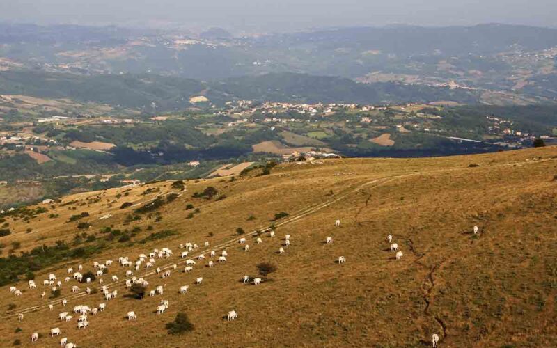 Il borgo di Frosolone: natura e storia tra le rocce della Morgia Quadra