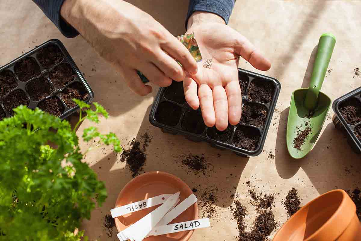 Lavori di gennaio e febbraio in giardino