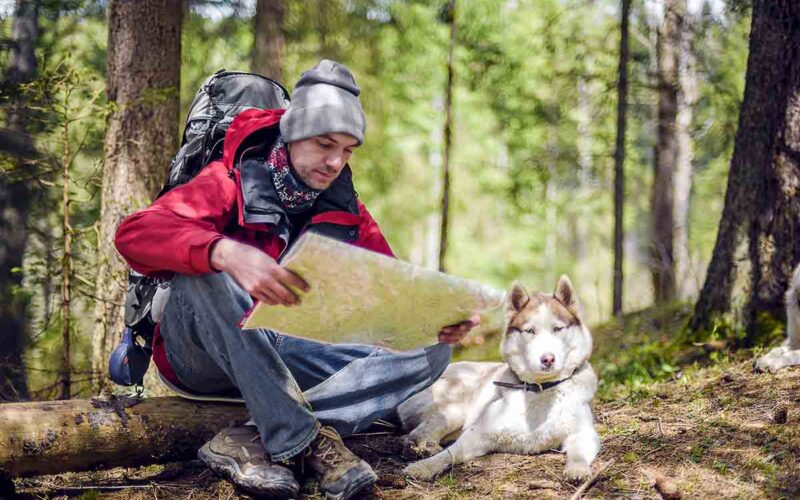 Andare in vacanza con il cane in montagna: tutto ciò che devi sapere