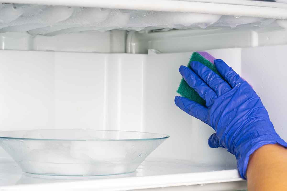 Sbrinare il freezer