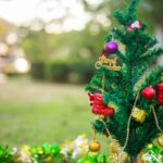 Decorare il giardino a Natale: 5 consigli utili|Decorare il giardino a Natale: 5 consigli utili|Decorare il giardino a Natale: 5 consigli utili|Decorare il giardino a Natale|Decorare il giardino a Natale: 5 consigli utili|Decorare il giardino a Natale: 5 consigli utili