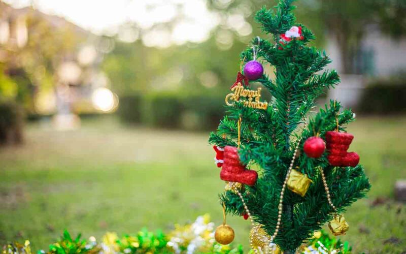 Decorare il giardino a Natale: 5 consigli utili