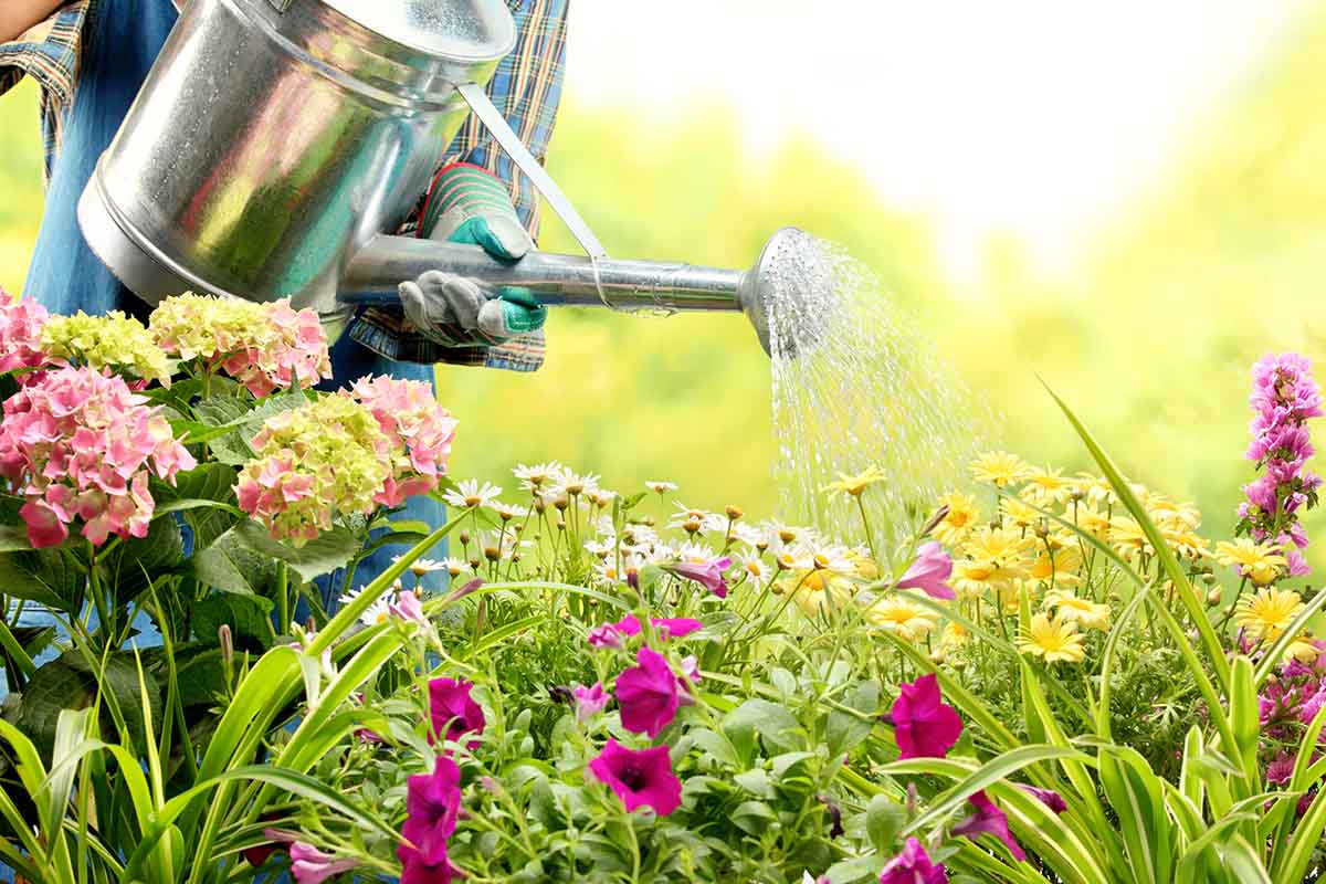 giardino a settembre