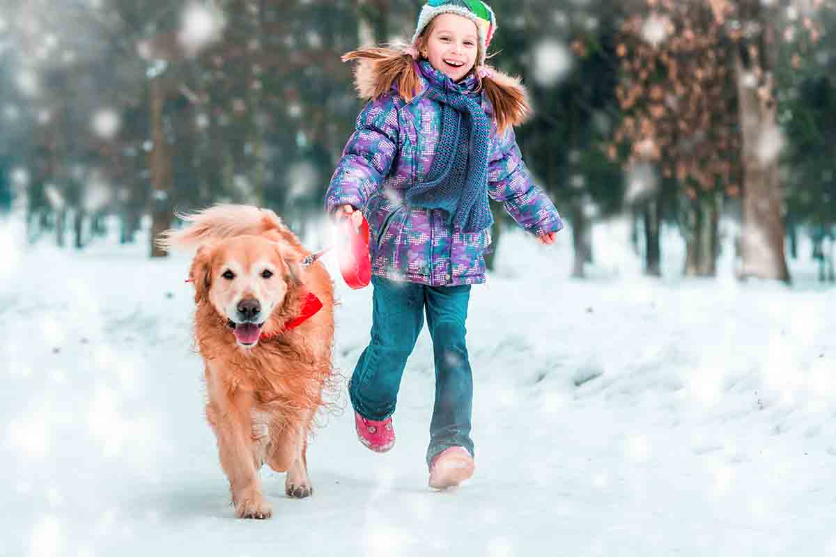 Andare in vacanza con il cane in montagna: tutto ciò che devi sapere