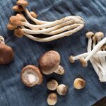 Le migliori 5 ricette con i funghi|||Le migliori 5 ricette con i funghi||Le migliori 5 ricette con i funghi