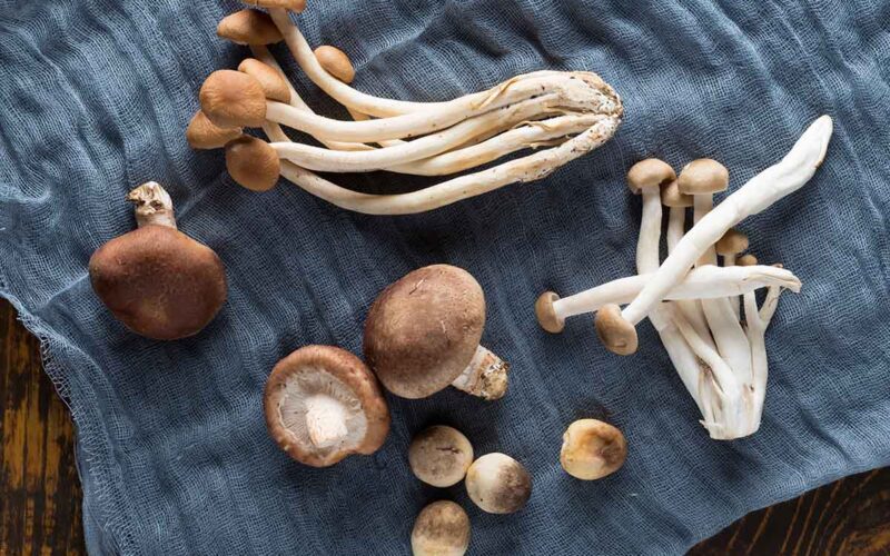 Le migliori 5 ricette con i funghi|||Le migliori 5 ricette con i funghi||Le migliori 5 ricette con i funghi