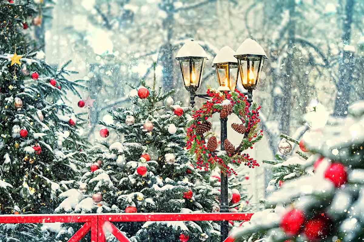 Decorare il giardino a Natale: 5 consigli utili