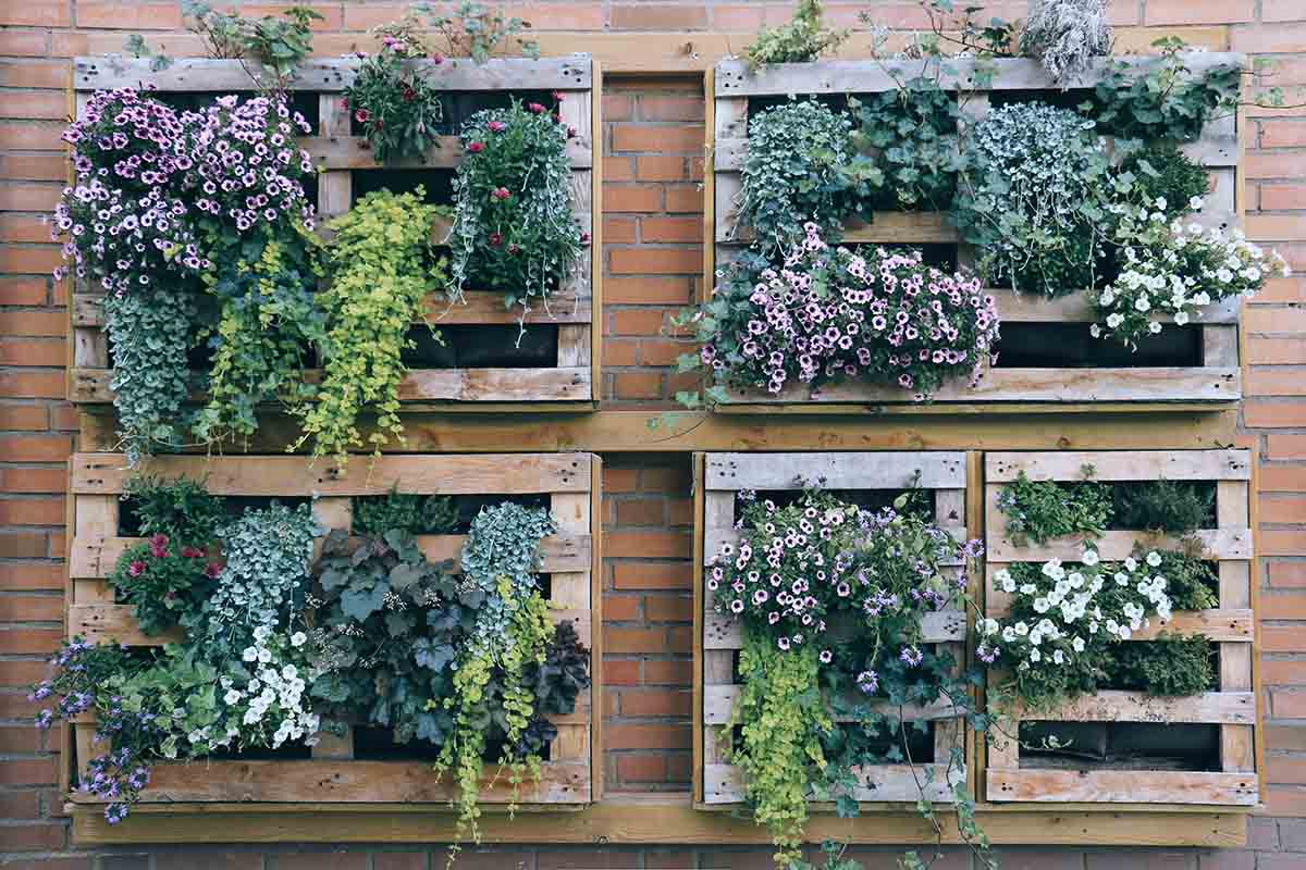 Giardino verticale: tutto ciò che c’è da sapere