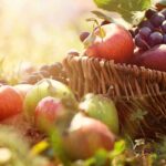 |Frutta e verdura di stagione a novembre|cosa mangiare ad ottobre|Frutta e verdura di stagione a novembre|Frutta e verdura di stagione a novembre