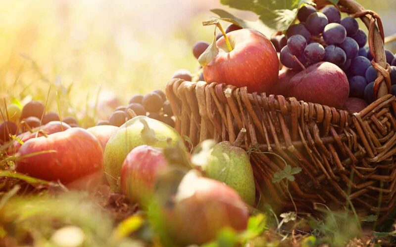 |Frutta e verdura di stagione a novembre|cosa mangiare ad ottobre|Frutta e verdura di stagione a novembre|Frutta e verdura di stagione a novembre