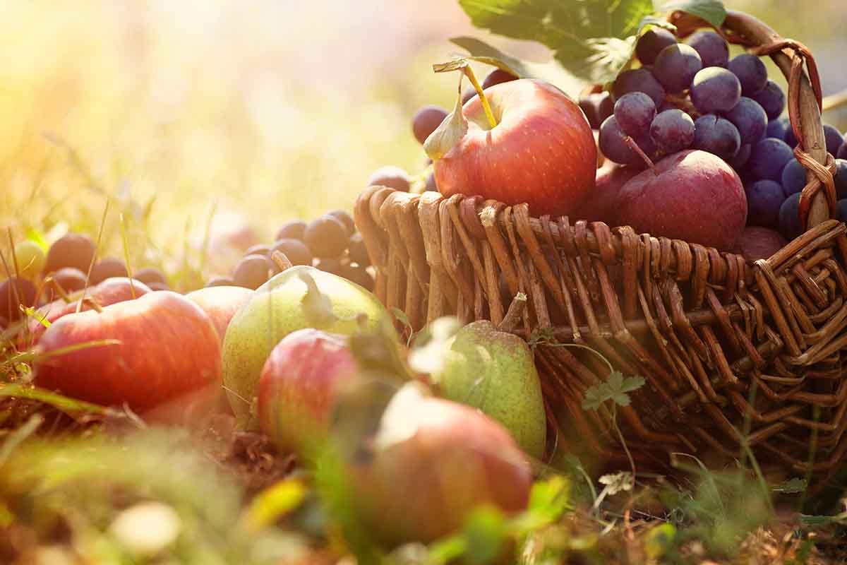 Frutta e verdura di stagione a novembre