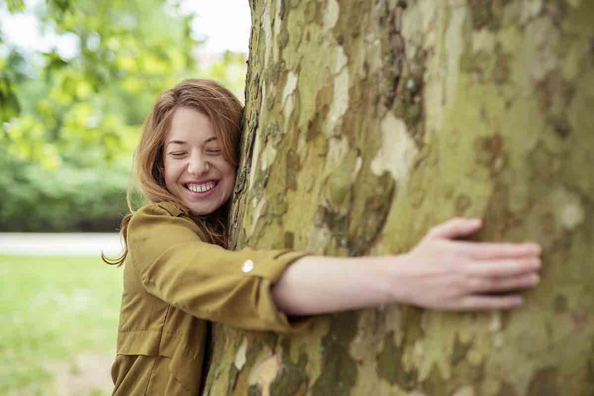 Adottare un albero si può, ecco come fare