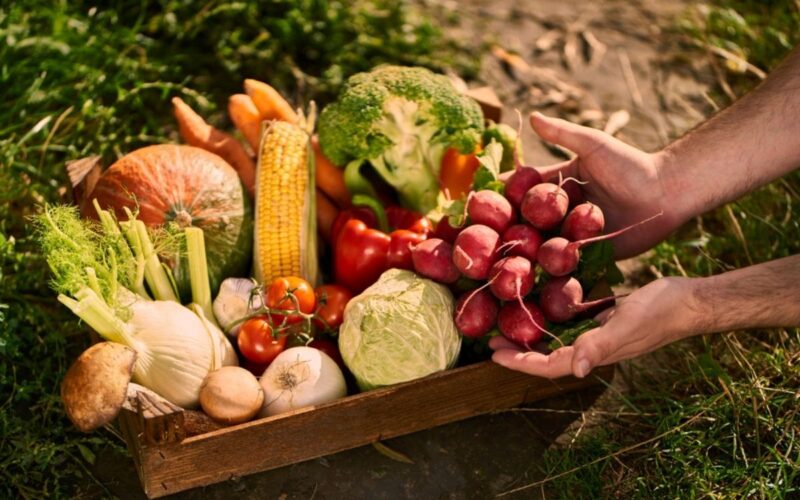 Alimentazione KM Zero: cos’è e perché è sostenibile|agriturismo km zero