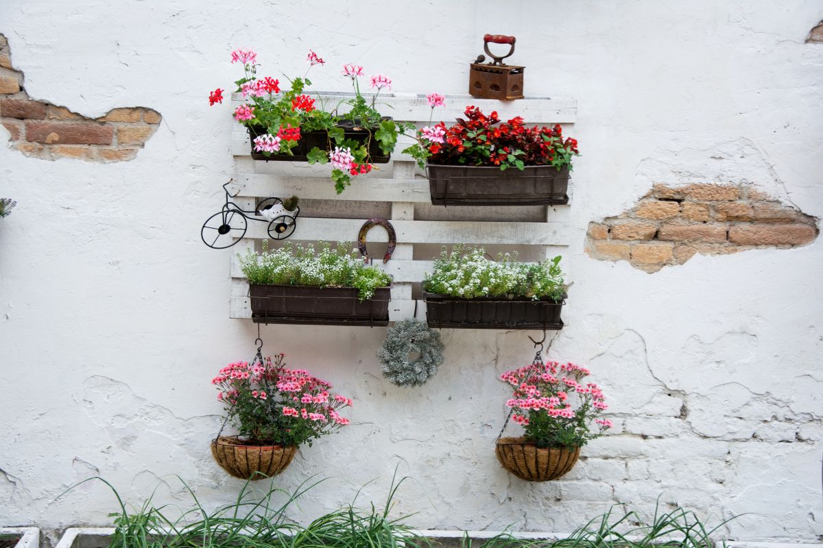 soluzioni di giardinaggio verticale pallet