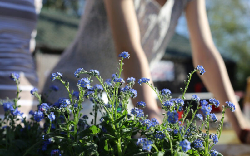 Lavori in giardino nel mese di aprile|Lavori in giardino nel mese di aprile|Lavori in giardino nel mese di aprile