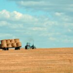 terreni agricoli edificabili- caratteristiche