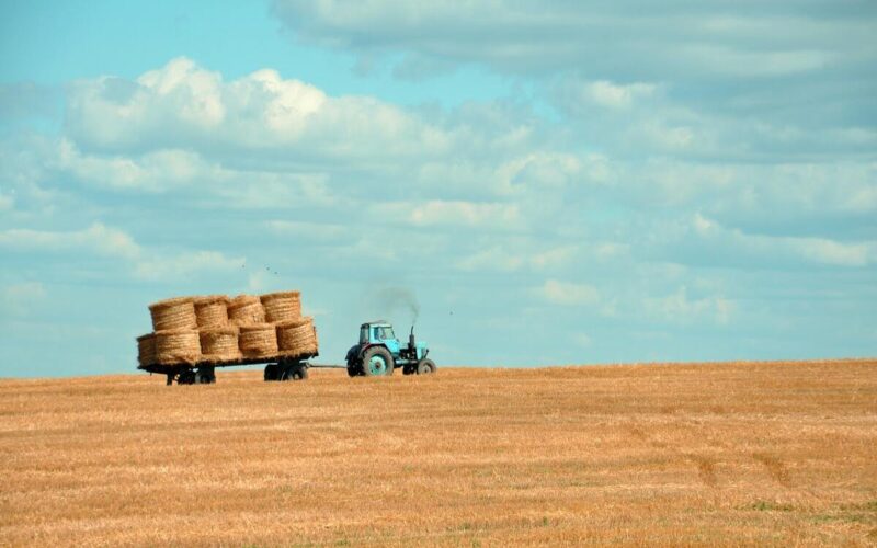 terreni agricoli edificabili- caratteristiche