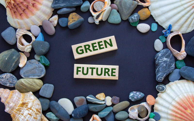 Transizione ecologica - green future|