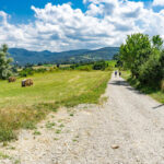 Trekking in Toscana|Trekking in Toscana - Via Francigena