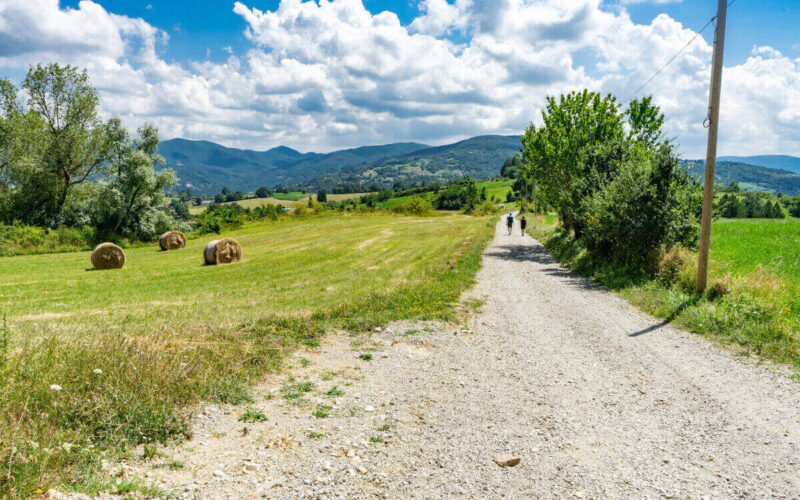 Trekking in Toscana|Trekking in Toscana - Via Francigena