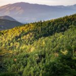 le colline del prosecco di Conegliano e Valdobbiadene||colline del Prosecco