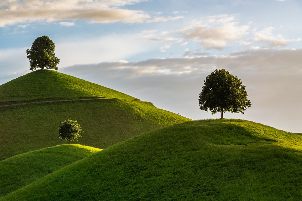 colline del Prosecco