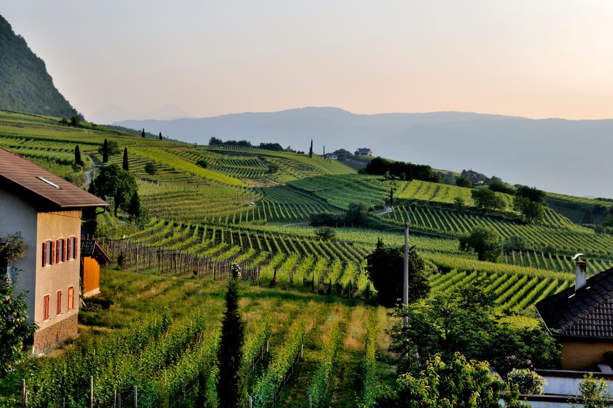 vacanza in fattoria