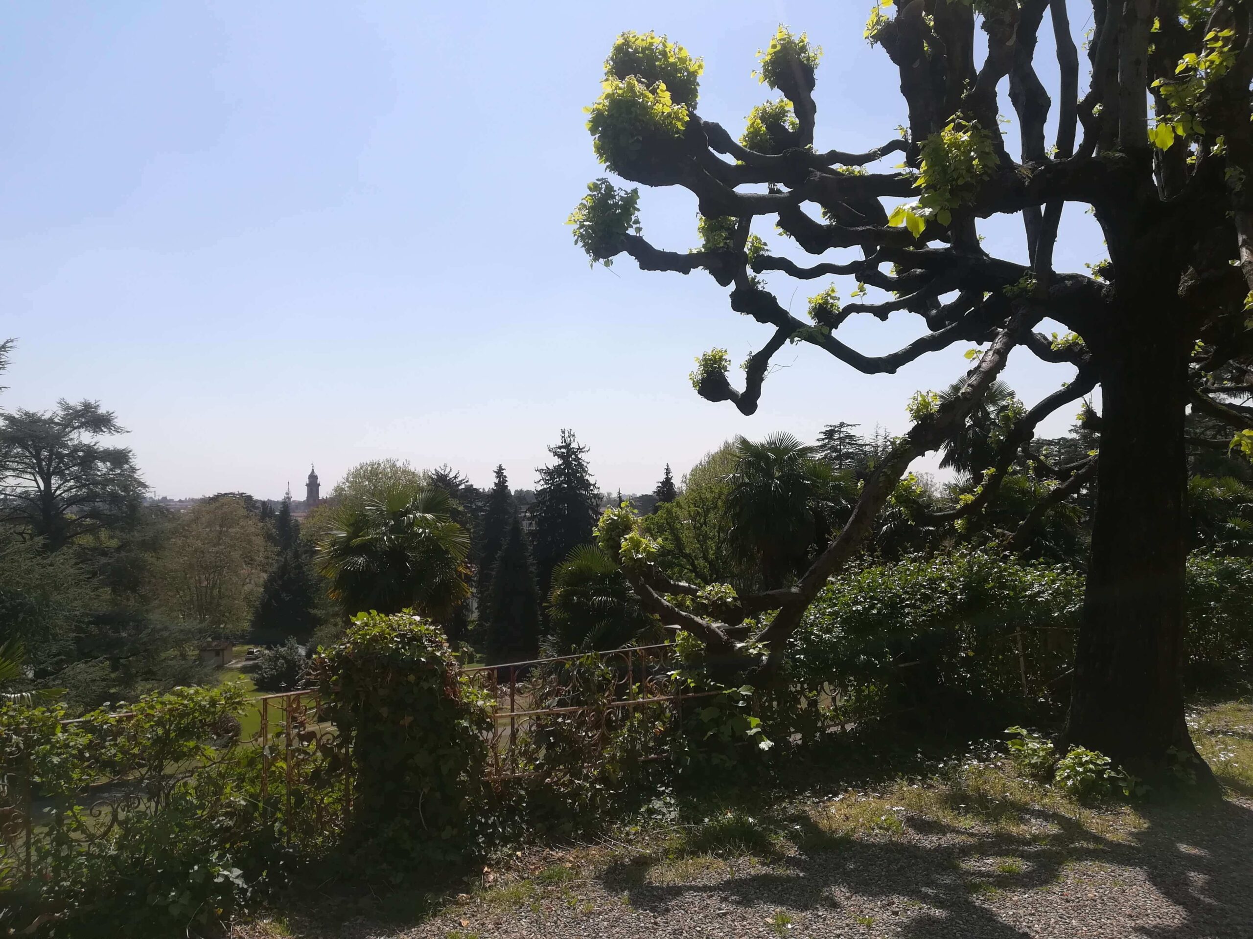 il giardino della villa