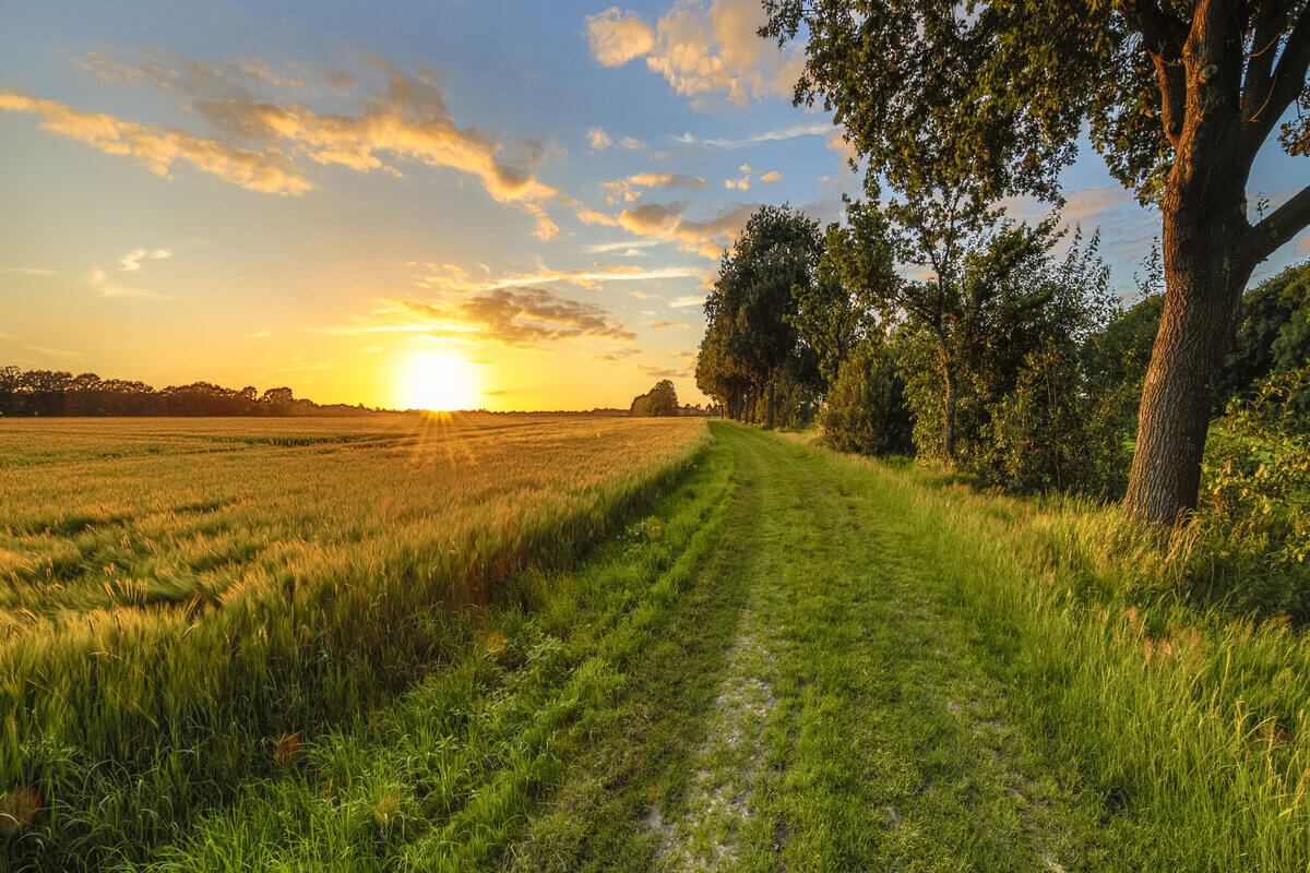 Vivere in campagna