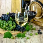 vendemmia 2018 eventi