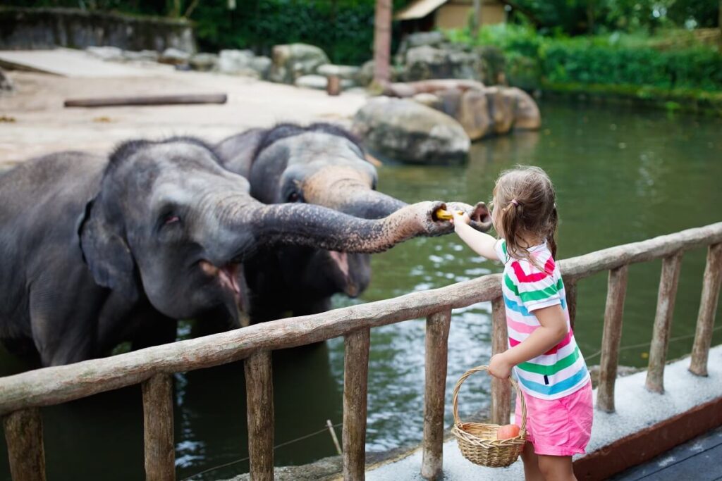 Scopriamo gli Zoo e i parchi Zoologici