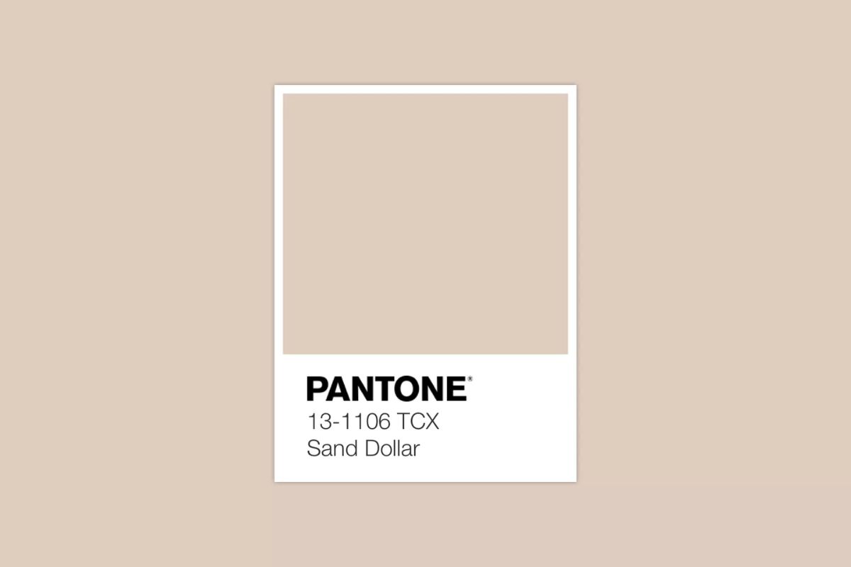 2006 - Sand Dollar (Pantone 13-1106)