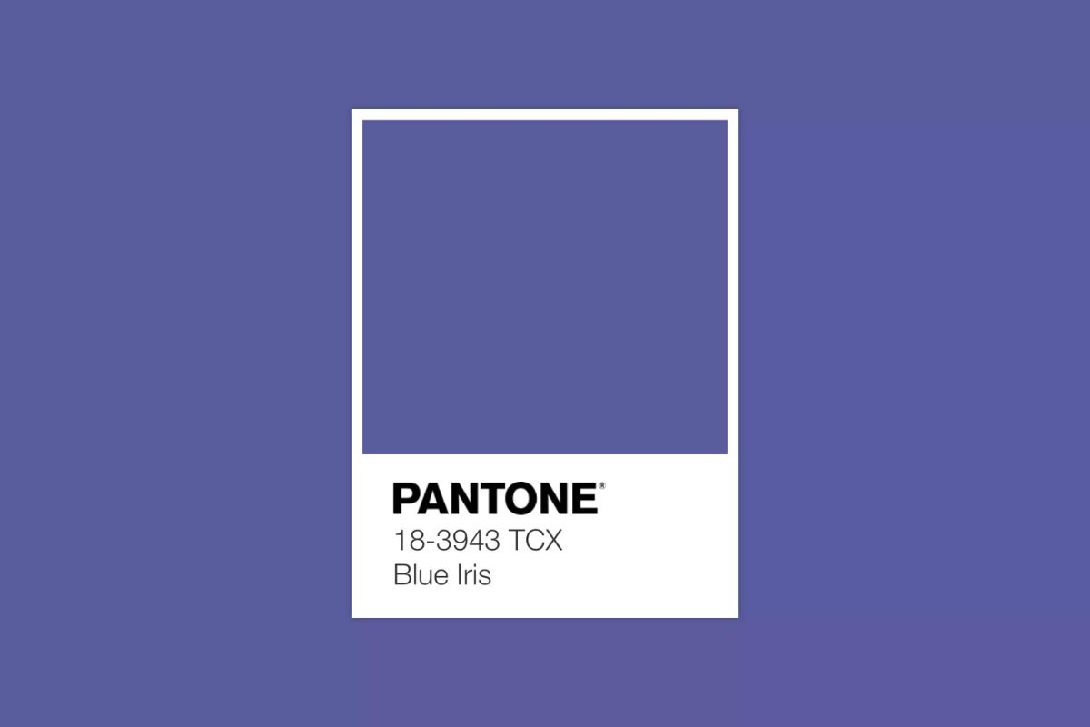 2008 - Blue Iris (Pantone 18-3943)