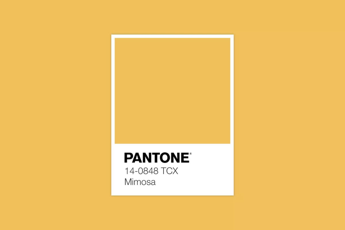 2009 - Mimosa (Pantone 14-0848)