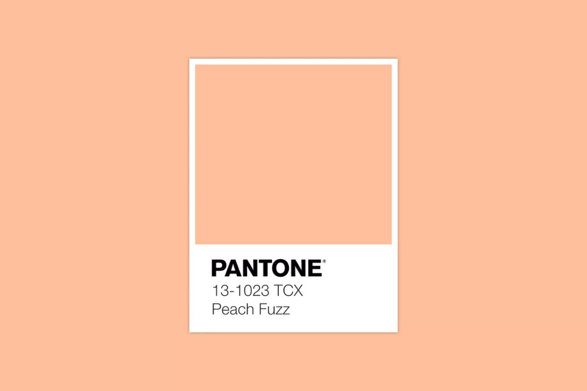 2024 Peach Fuzz (Pantone 13-1023)