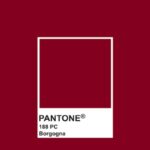 Pantone Color Borgogna: la tonalità intensa che incanta il design