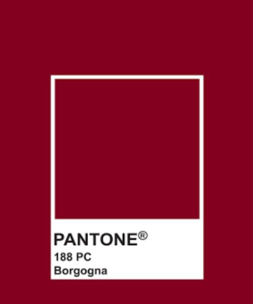 Pantone Color Borgogna: la tonalità intensa che incanta il design