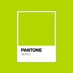 Pantone Verde Lime