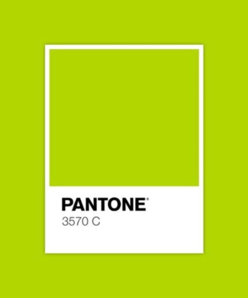 Pantone verde lime: il colore audace che porta energia nel design