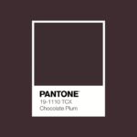 Pantone marrone cioccolato: un colore forte e morbido, sempre più amato nel design