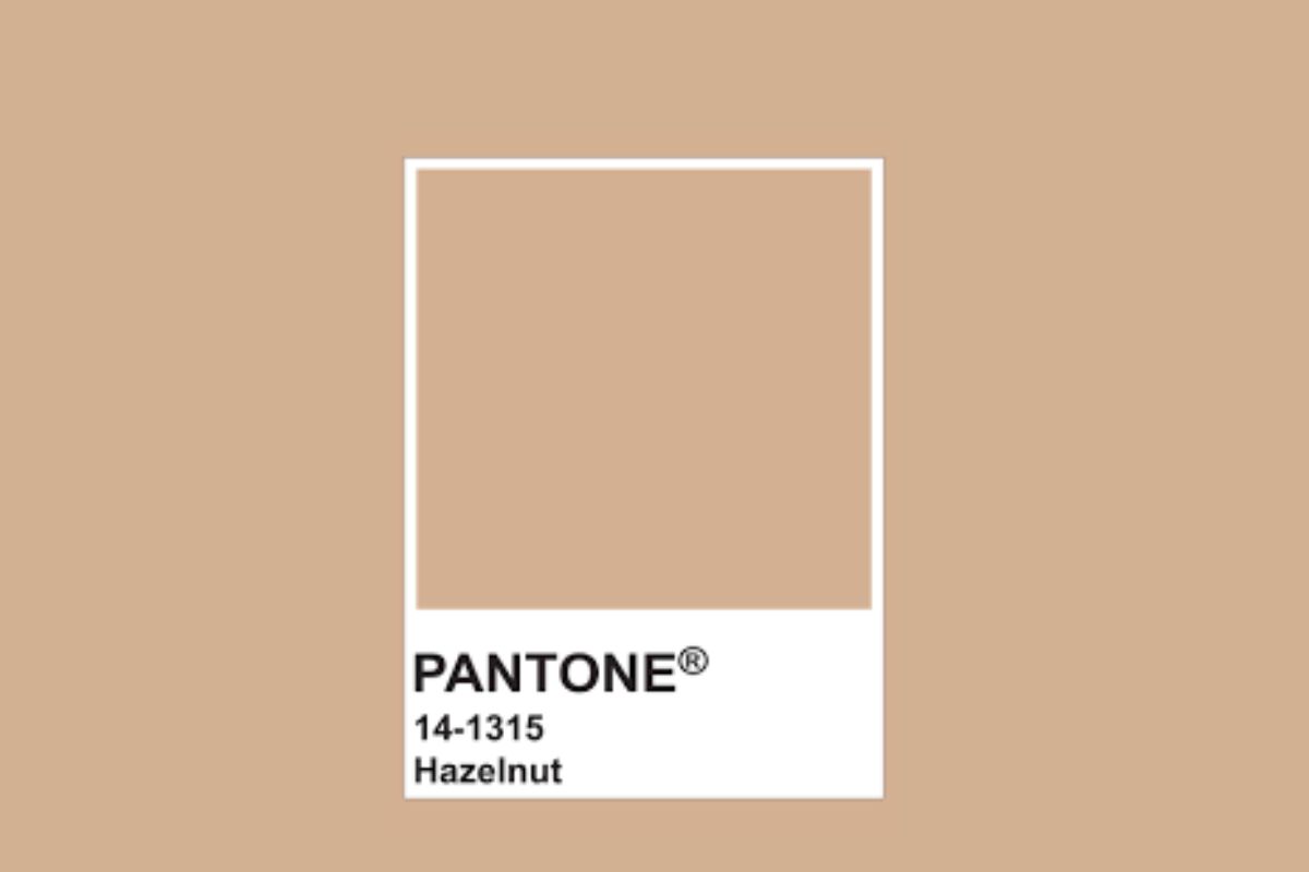 pantone cioccolato marrone nocciola